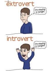 introvert